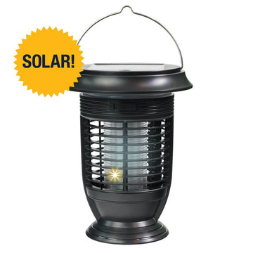  BugOUT Solar Lantern